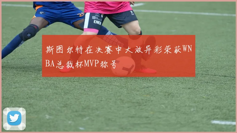 斯图尔特在决赛中大放异彩荣获WNBA总裁杯MVP称号